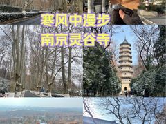 -灵谷景区