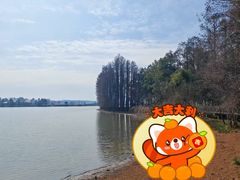 -东湖落雁景区