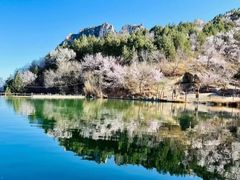 -百里山水画廊