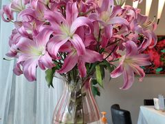 -沿途四季·云南菜(建外大街店)