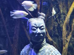 -华夏文旅海洋公园