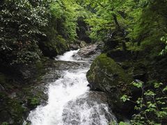 -溪口-滕头旅游景区