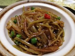 -丁老爷子苏香圆
