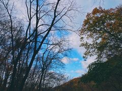 -天女山森林公园