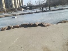-前关湿地公园
