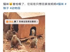 -昆明动物园