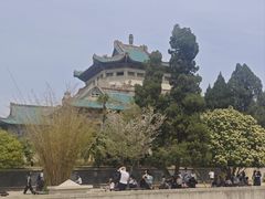 -武汉大学-樱园