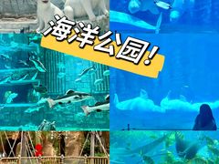 -海花岛旅游度假区