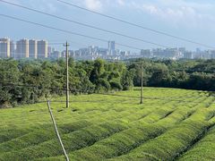 -敬亭山风景名胜区
