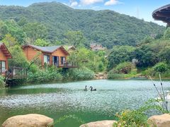 -杭州开元森泊度假乐园