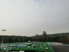 -赛卡联盟WSK卡丁车俱乐部