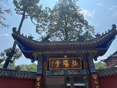 -黔灵山公园