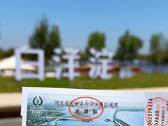 -白洋淀景区