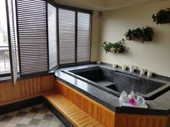 -春晖园度假酒店温泉