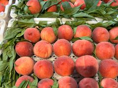 -乐乐鲜果水果超市(河北店)