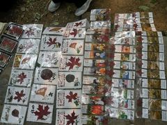 -香山公园-东宫门售票处