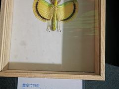 -利顺德博物馆