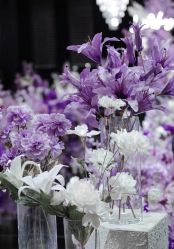 -明典婚礼策划·婚车租赁·婚纱摄影