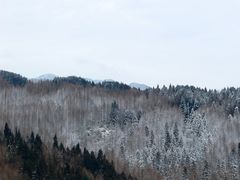 -山王坪喀斯特国家生态公园