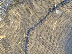 -瀛海足球主题公园