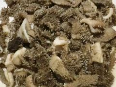 -清真吴记门钉肉饼·喜多利