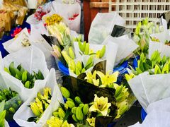 -秦美花卉(天朗·莱茵小城2期店)