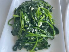 -云中小雅