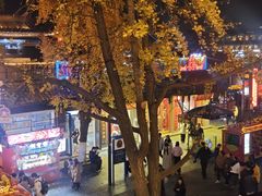 -奇芳阁·百年清真南京菜(夫子庙店)