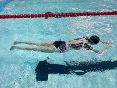 -重庆市奥林匹克体育中心-游泳跳水馆