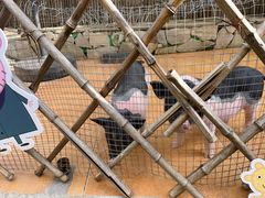 -HERRE·FARM 赫尔露营农场·团建聚会包场