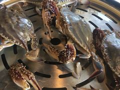 -四海蒸鲜蒸汽海鲜自助(北戴河店)