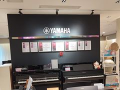 -雅歌音乐培训中心·钢琴培训·乐器培训(交道口店)