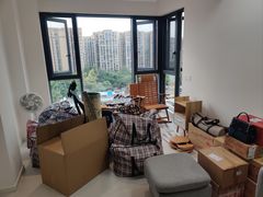 -蚂蚁搬家成都打包搬运公司