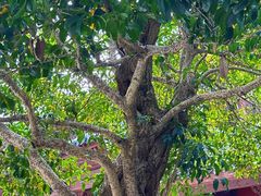 -东天目山风景区
