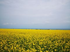 -日月山景区
