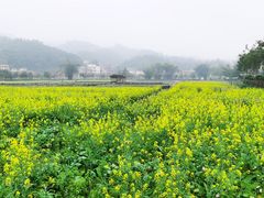 -红山村