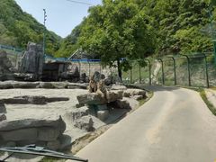 -栾川竹海野生动物园