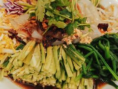 -林口邵胖子大鹅(新安街东五店)