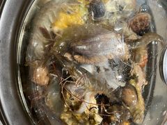 -大锅强·蒸海鲜青岛菜(吾悦广场店)