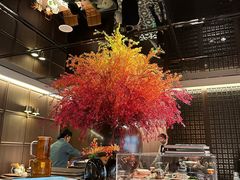 -秀儿四九城·新京菜(亚运村鸟巢店)