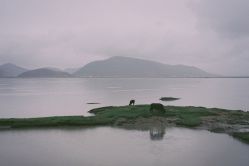-纳帕海依拉草原