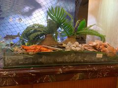 -嘉莱特和平国际酒店自助餐