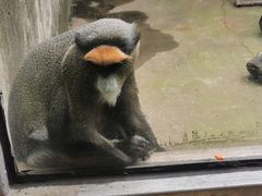 -宁波野生动物园
