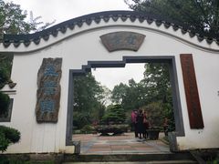-南山植物园
