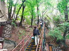 -吉林市朱雀山国家森林公园