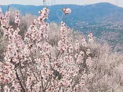 -定都峰