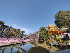 -苏州太湖西山岛开心农场