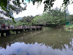 -呀诺达热带雨林