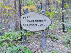 -香山公园