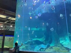 -龙谷湾旅游休闲度假区